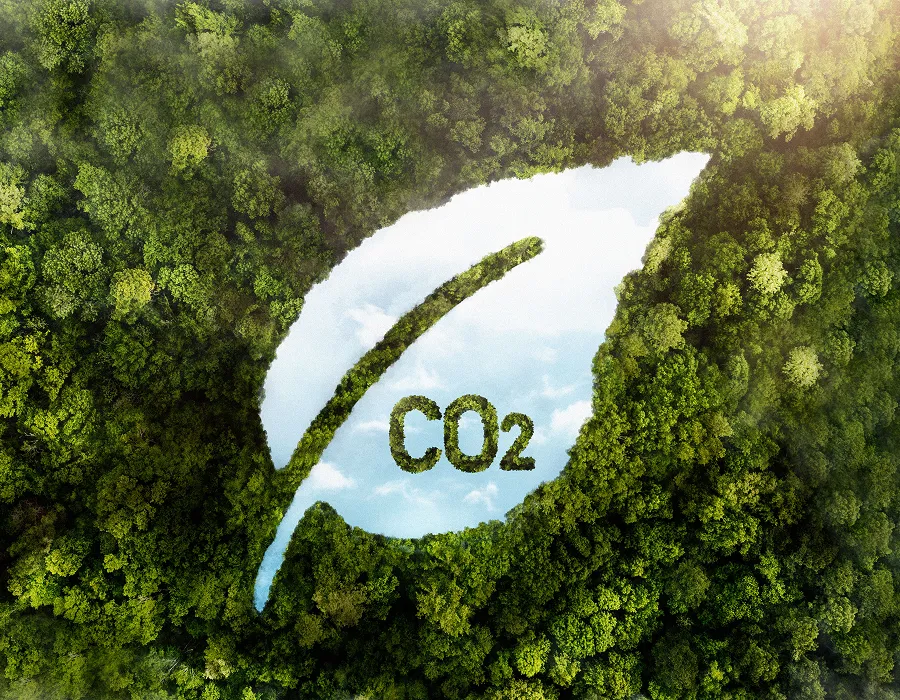 Core Advantages of Green Products