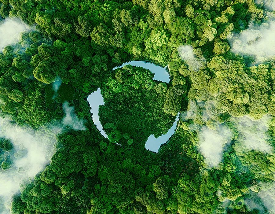 Circular Economy Practices